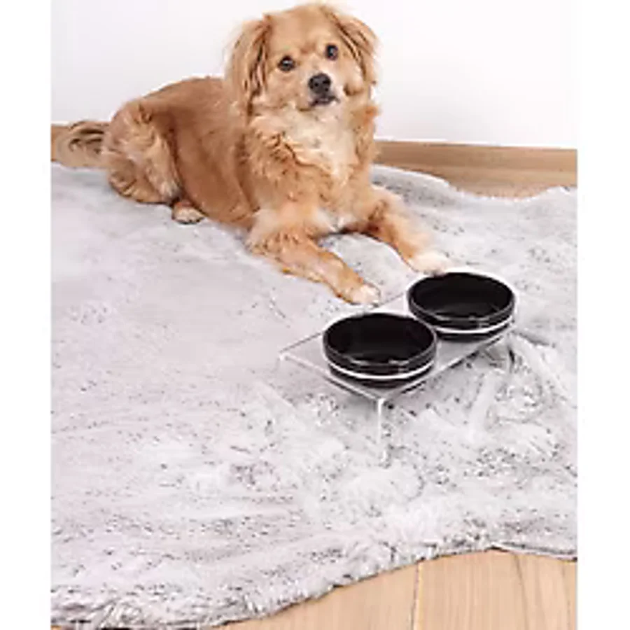 Pikas Kedi ve Köpek Dekoratif 2'li Seramik Pleksi Mama & Su Kabı+ Paspas - Siyah