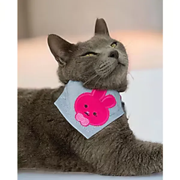 Pink Bunny Kedi Bandana, Fular, Kedi Kıyafeti Kedi Elbisesi, Kedi Tasması