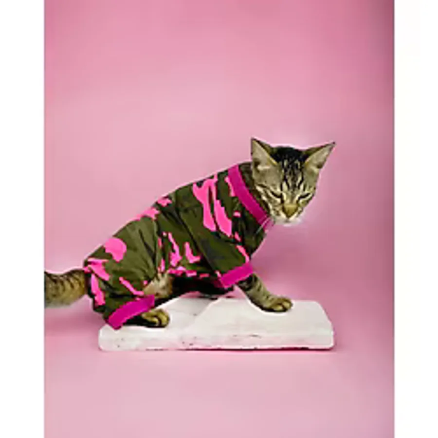 Pinky Camouflage Penye Tulum Kedi Tulumu Kedi Elbisesi