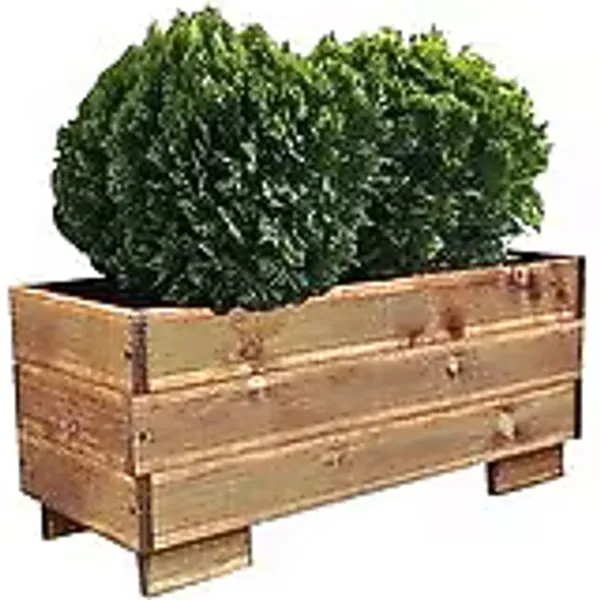 Pinoxi Doğal Ahşap Büyük Boy Salon Balkon Saksi Bahçe Çiçeklik Saksi 29cm X 74cm X 32cm Kahverengi