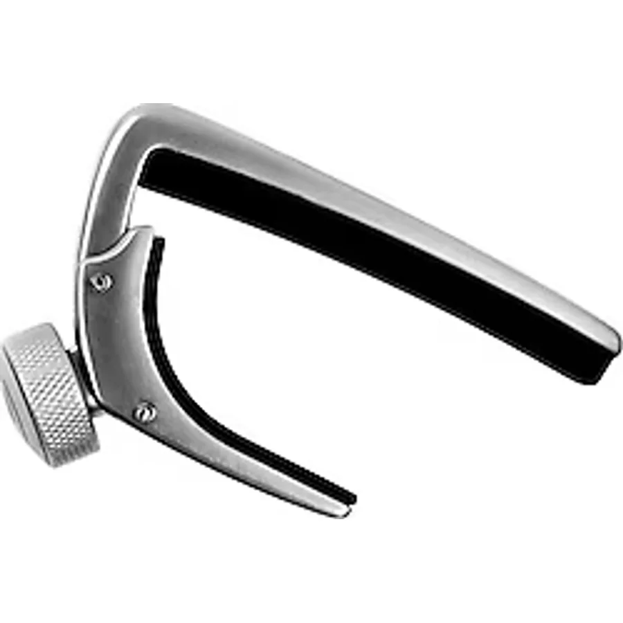 Planet Waves PWCP02S Elektro Ve Akustik Gitar Kaposu