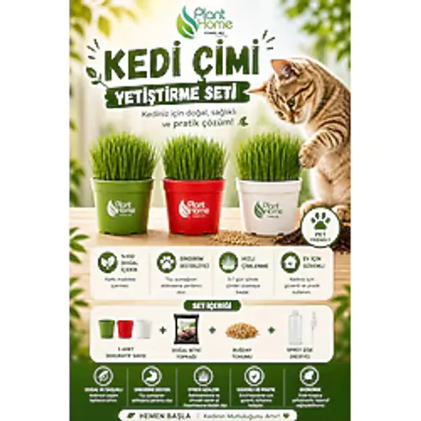 plant-home Kedi Çimi Yetiştirme Seti - Doğal, Sağlıklı ve Pratik Evde Kedi Çimi Kit (Plant Home)