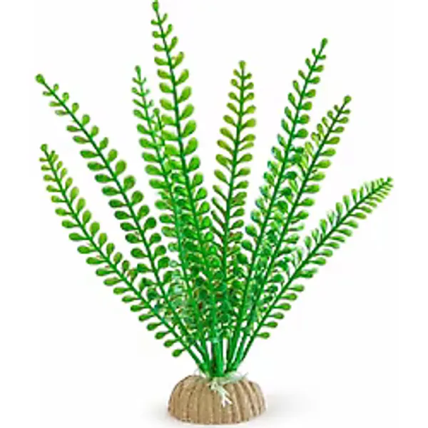 Plastik Akvaryum Bitkisi 20 cm - PB18