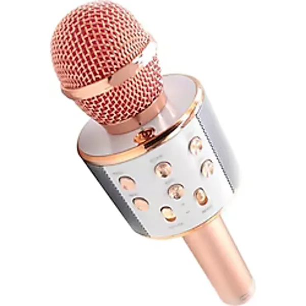 Platoon PL-2463 Karaoke Mikrofon