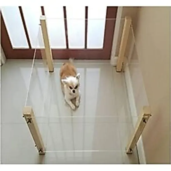 Pleksi Ahşap Köpek Çiti
