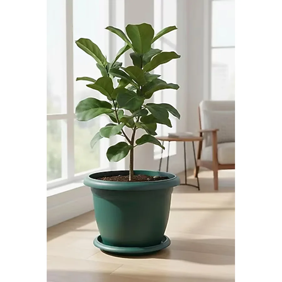 polivahome Dekoratif 36x25cm Tabaklı Yuvarlak Plastik Büyük Boy Villa Saksı Yeşil
