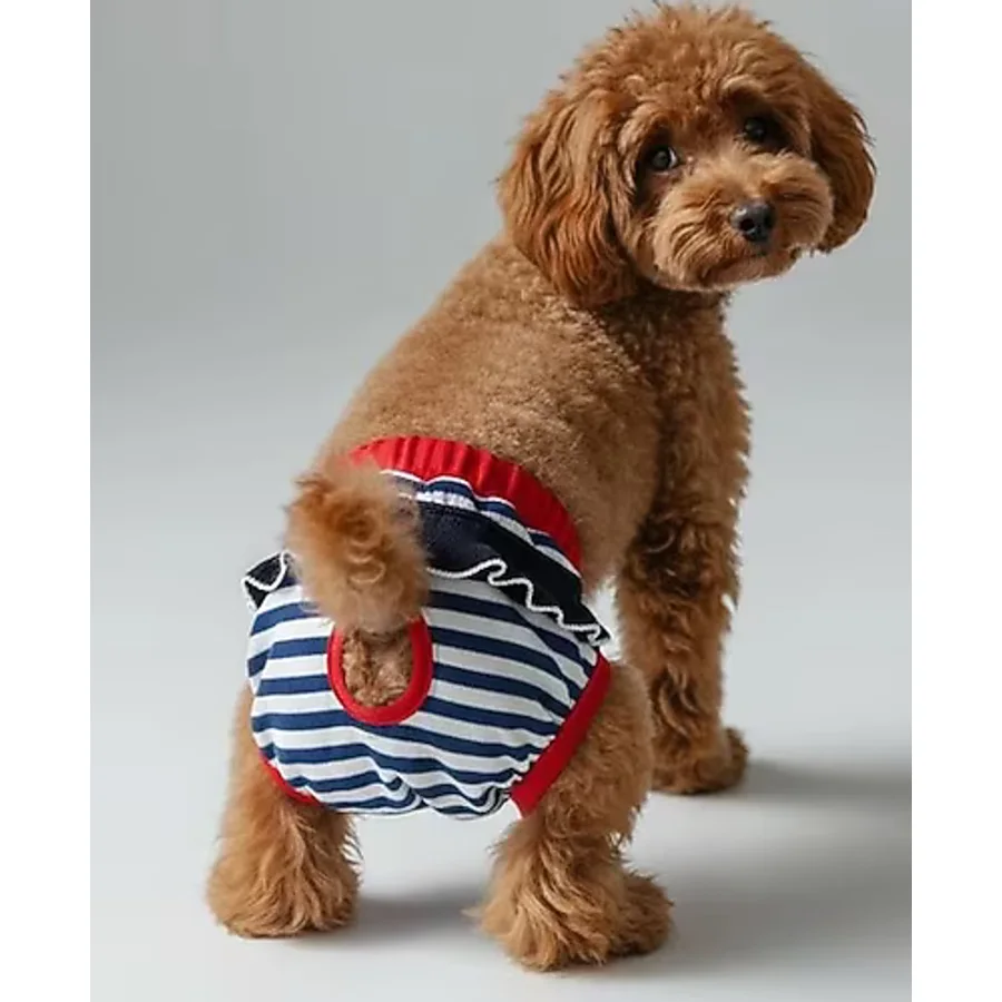 Pretty Liva Dişi Köpek Regl Külotu Köpek Donu Köpek İç Çamaşırı Pet Kıyafet Küçük Irklar İçin