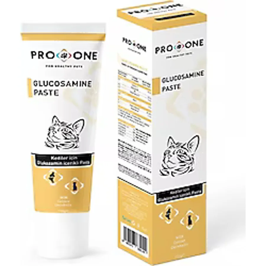 Pro One Glukozamin 100 gr Kedi Macunu