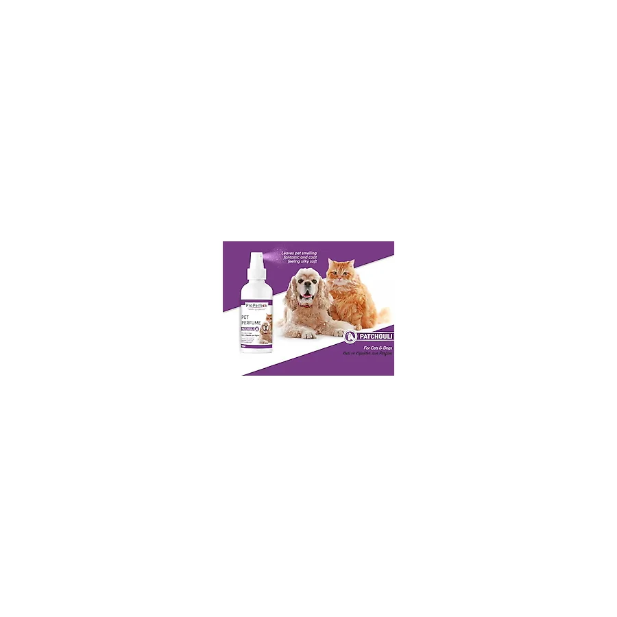 Pro Perfeck Patchouli 100 ml Kedi Köpek Parfümü