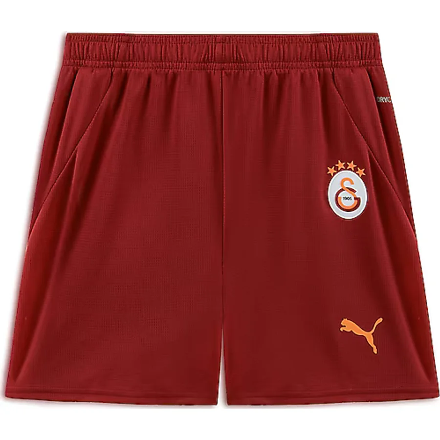 Puma 779673 2024/2025 Çocuk Galatasaray Futbol Şortu
