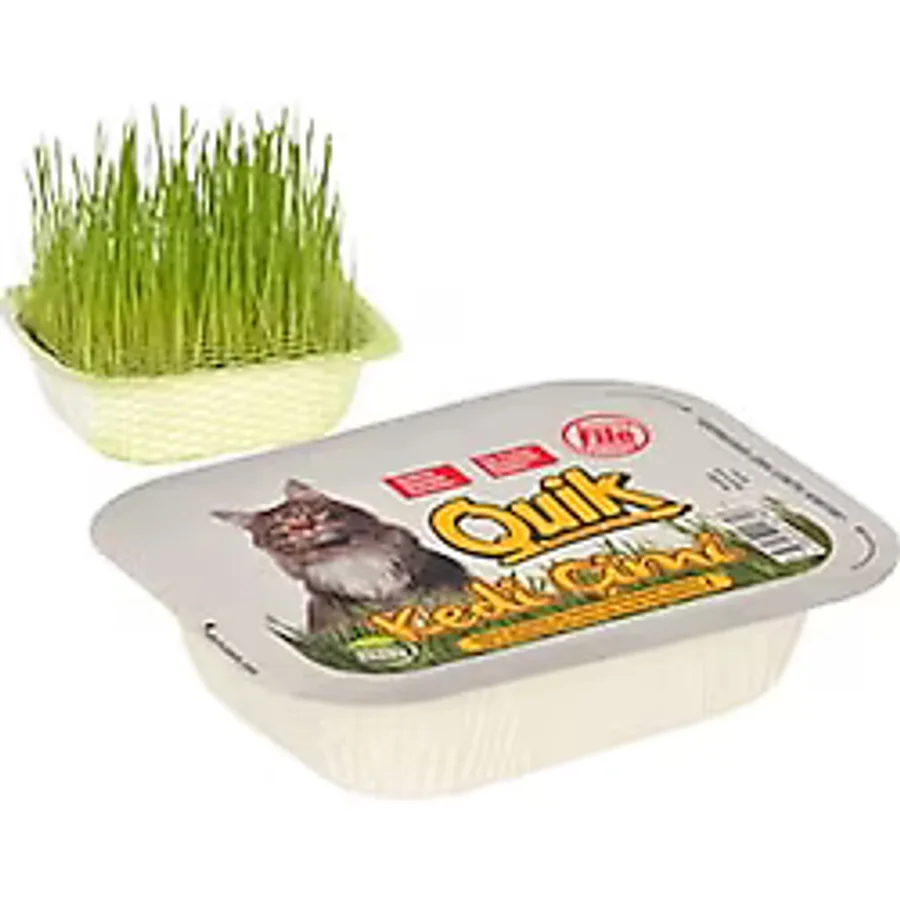 Quik 3 Adet Kedi Kemirgen Çimi