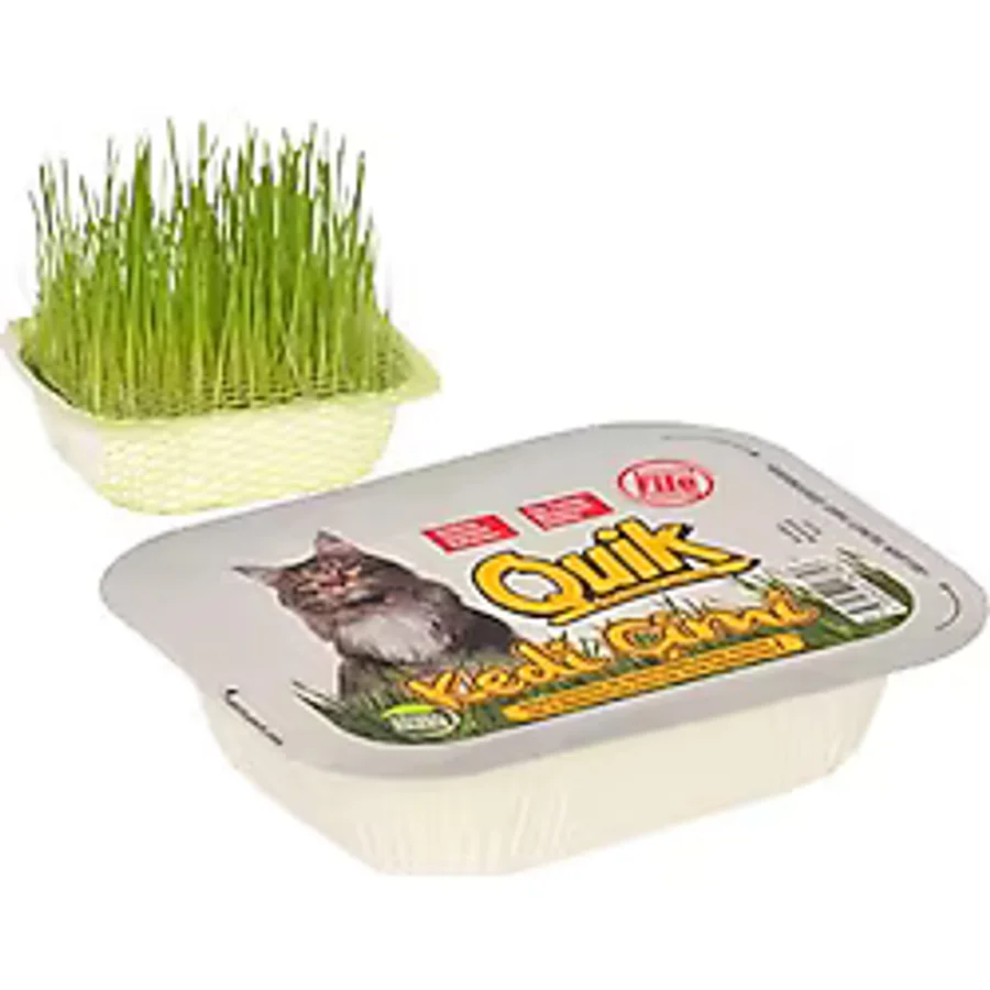 Quik Fileli Doğal Kedi Çimi