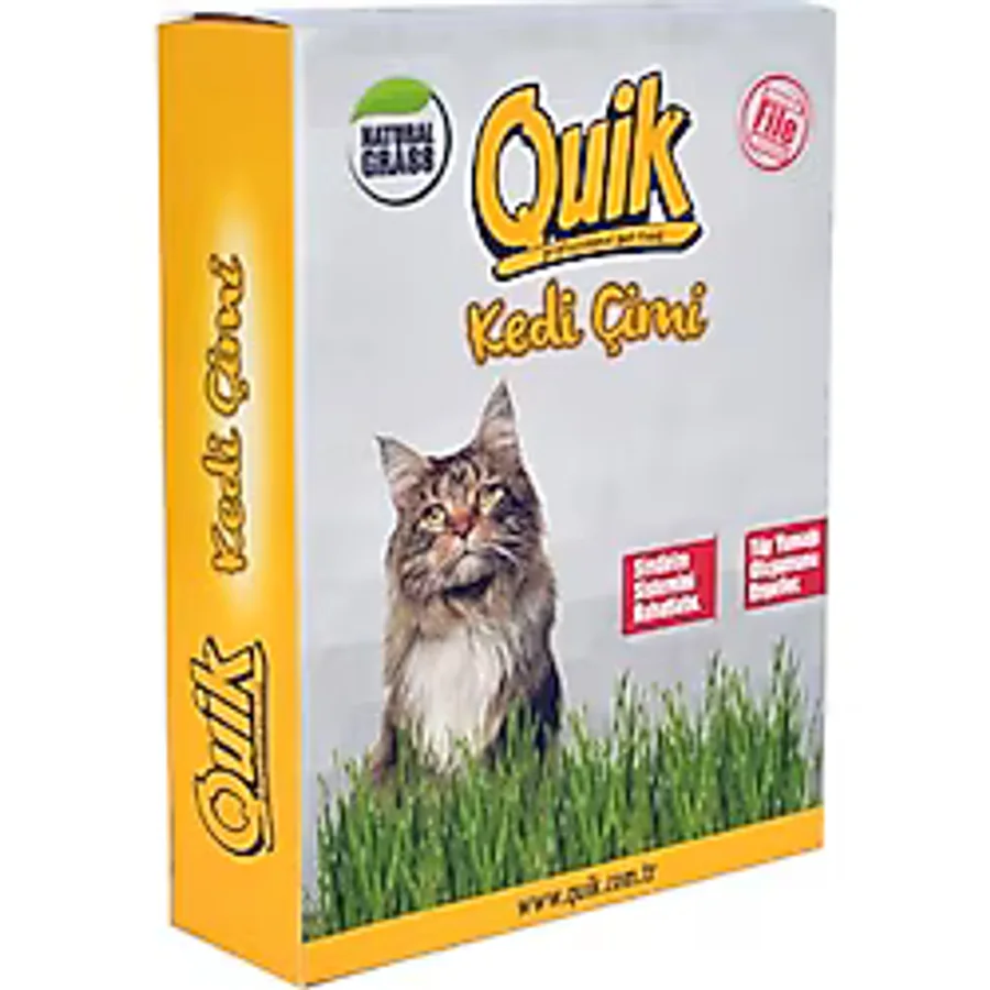 Quik Kedi Çimi Gerçek Topraklı
