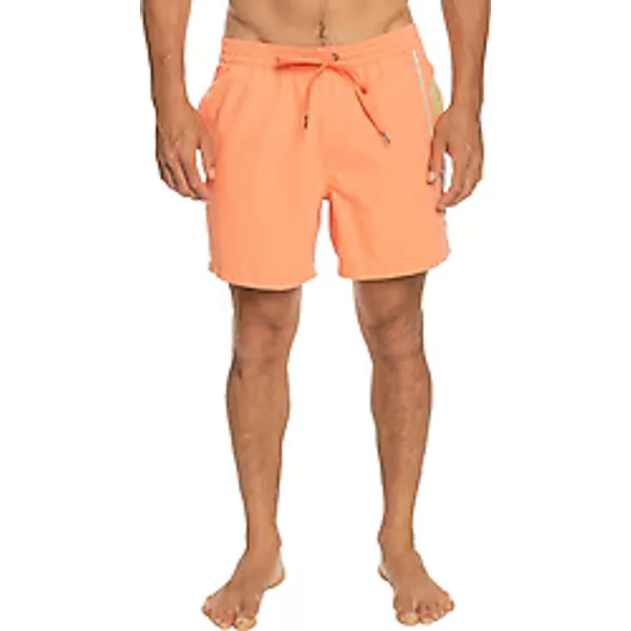 Quiksilver Everyday Vert 16" Erkek Deniz Şortu