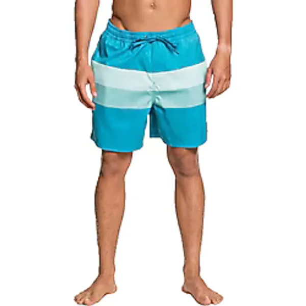 Quiksilver Mavi Erkek Şort Mayo