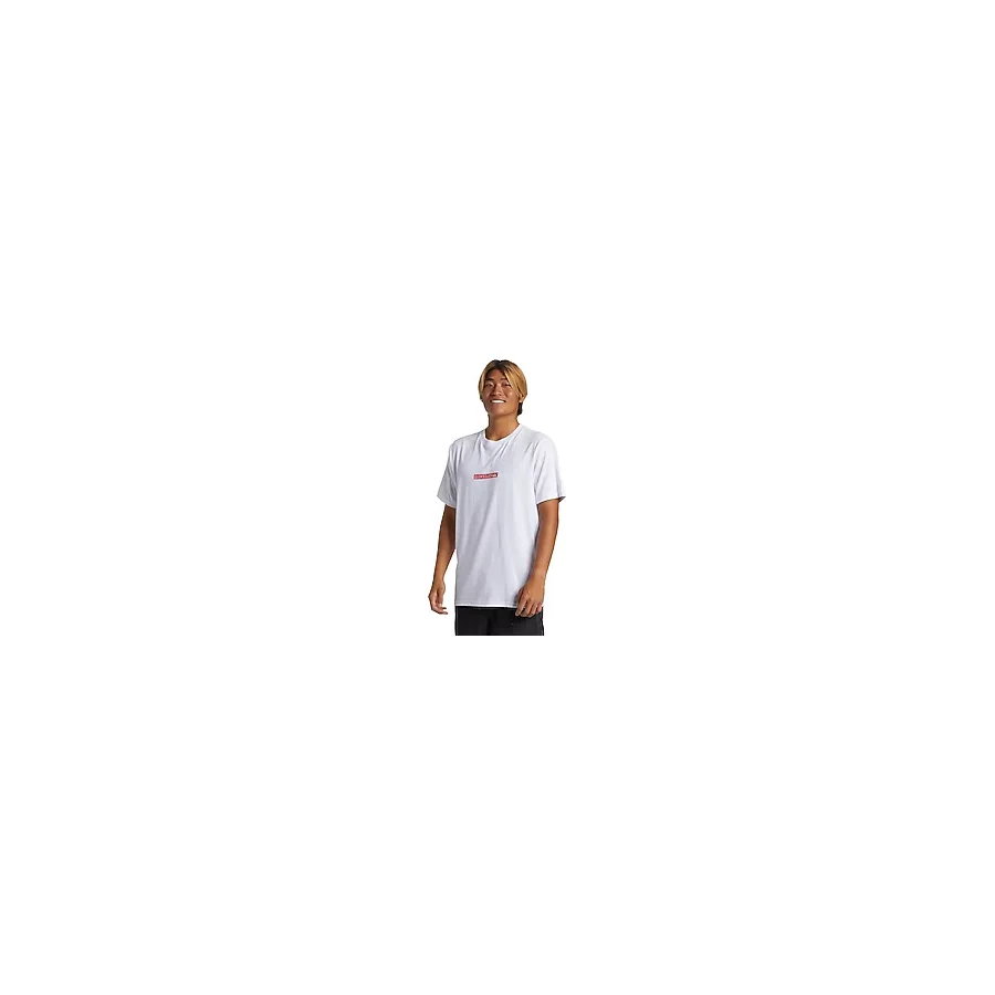 Quiksilver QS Clicker AQYZT09602 Kısa Kollu Bisiklet Yaka Erkek Tişört