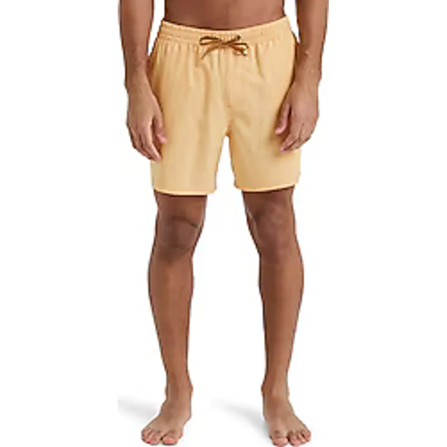 Quiksilver Surfsilk Solid 16'' Erkek Deniz Şortu