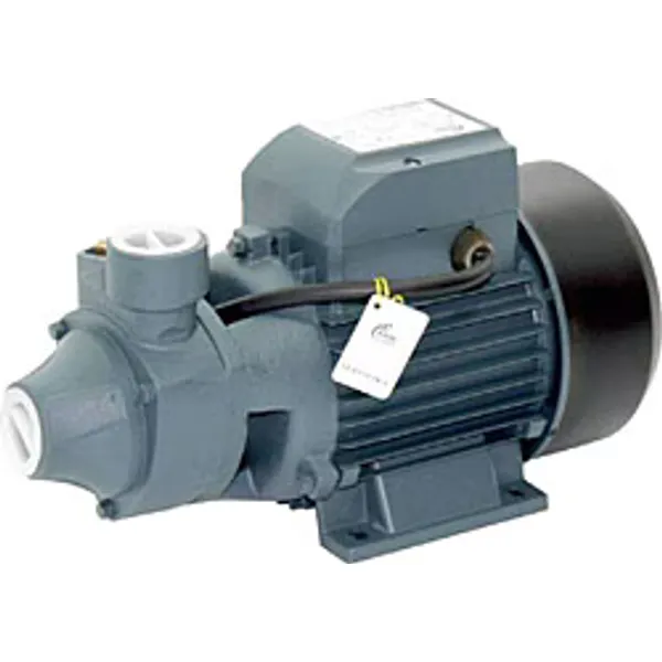Rain Pump QB60 Santrifüj Pompa