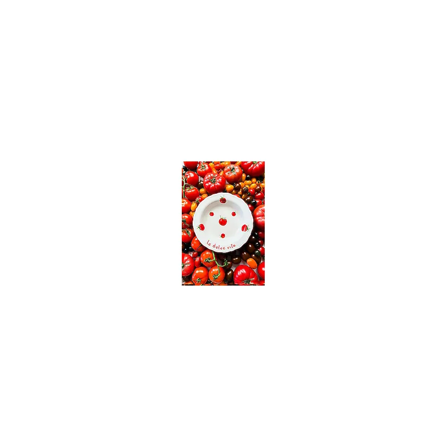 Rakle X Bengi Kurtcebe Pomodoro 23 cm 4'lü Yemek Tabağı