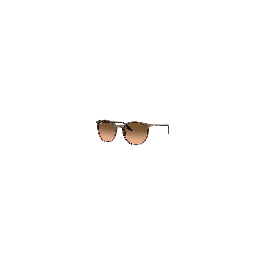 Ray-Ban 2204 Güneş Gözlüğü