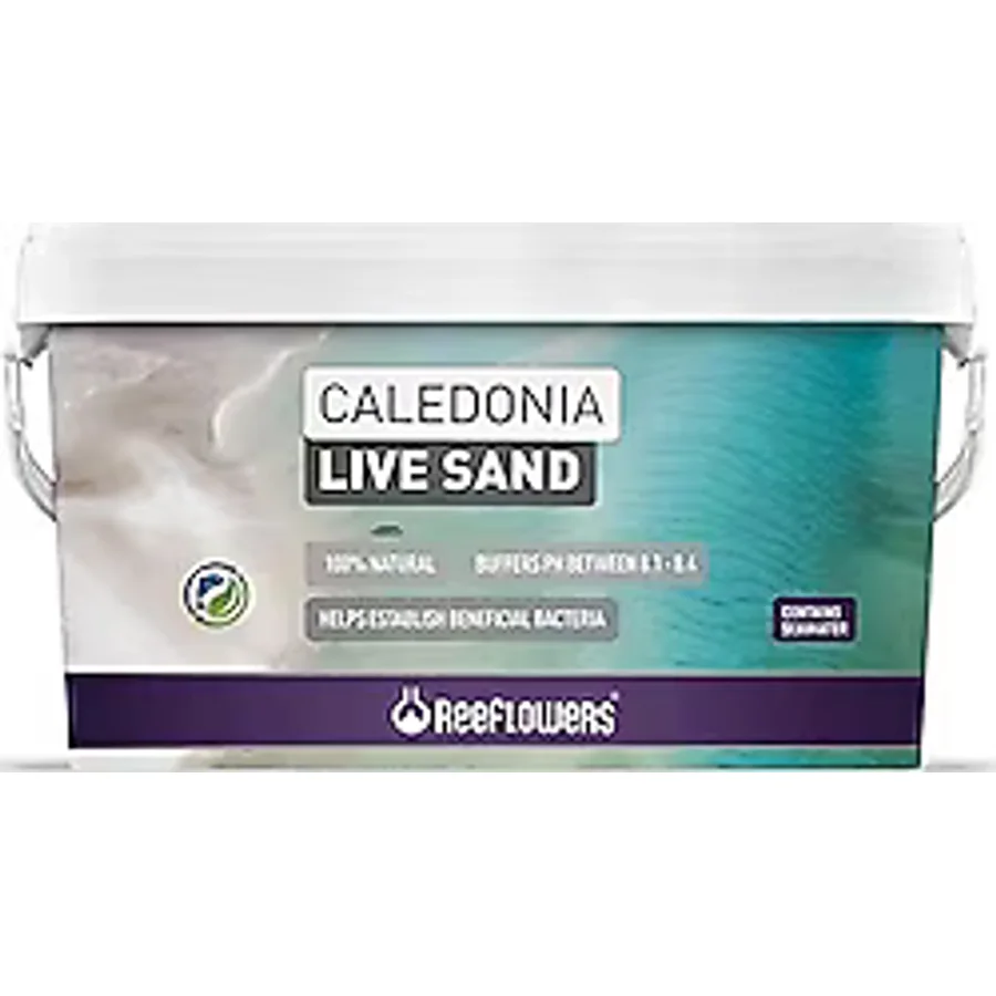 ReeFlowers Caledonia Live Sand Gold 18 kg Kum görsel 2