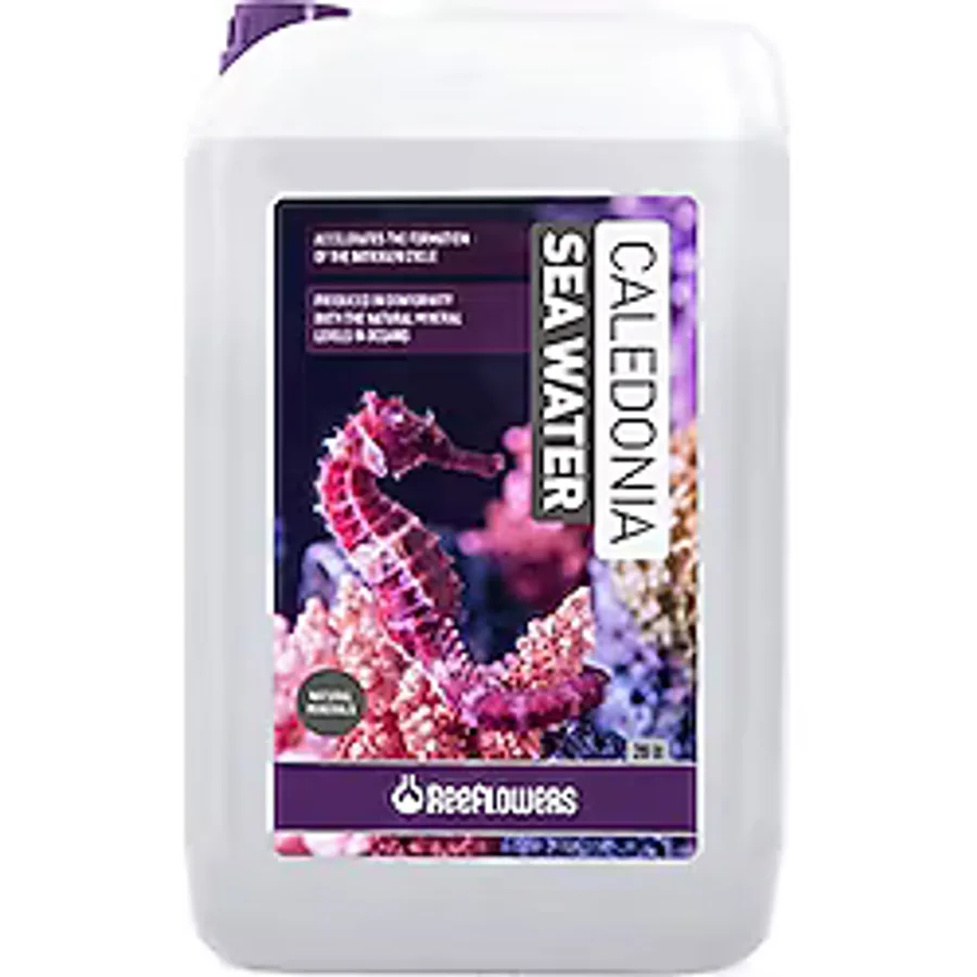 Reeflowers Caledonia Sea Water 20 LT