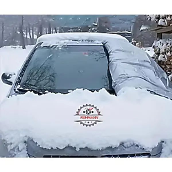 REIHMANN Cupra Formentor 2020-2021-2022-2023-2024-2025 Buzlanma Önleyici Araba Cam Üstü Kar Örtüsü Su Geçirmez Ön/yan Cam Koruma/oto Güneşlik