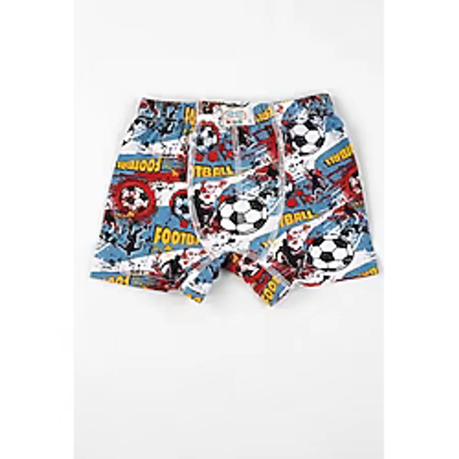 Renkli Desenli Erkek Çocuk 6 Lı Boxer