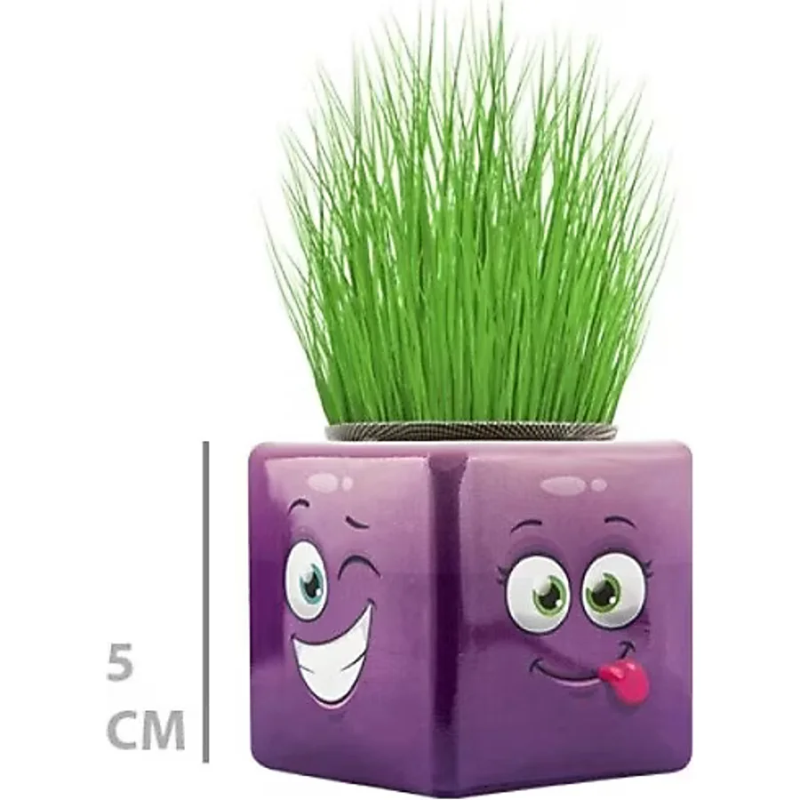 Renklime Çim Adam Mini Küp Emoji Figürlü 1 Adet