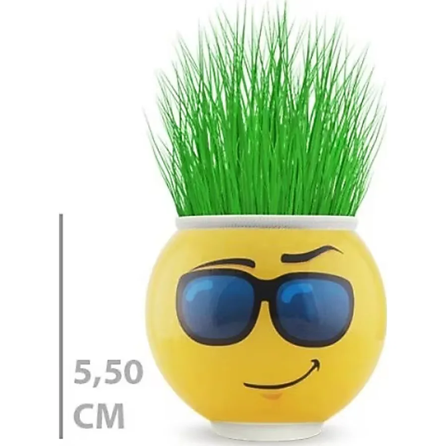 Renklime Çim Adam Saksı Emoji Figürlü 1 Adet