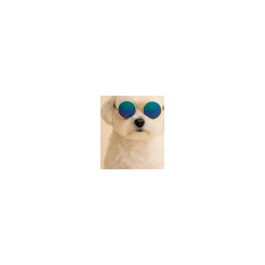 Retro Yuvarlak Evcil Hayvan Güneş Gözlüğü, Altın Metal Çerçeve, Renkli Lens, Kedi ve Köpek için Moda Aksesuarı (Renkli)