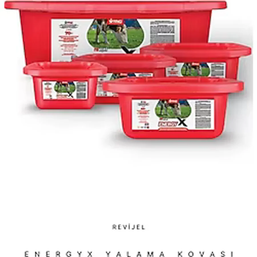 Revijel Energy Vitamin-İz mineral Giderici Yalama Bloğu 5 KG