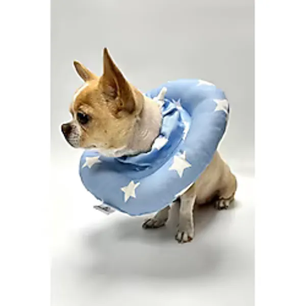 RİOBONGO Yıkanabilir Kedi & Köpek Yakalık Mavi No:7.5