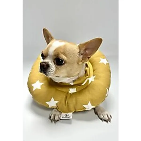 RİOBONGO Yıkanabilir Kedi & Köpek Yakalık Sarı No:7.5