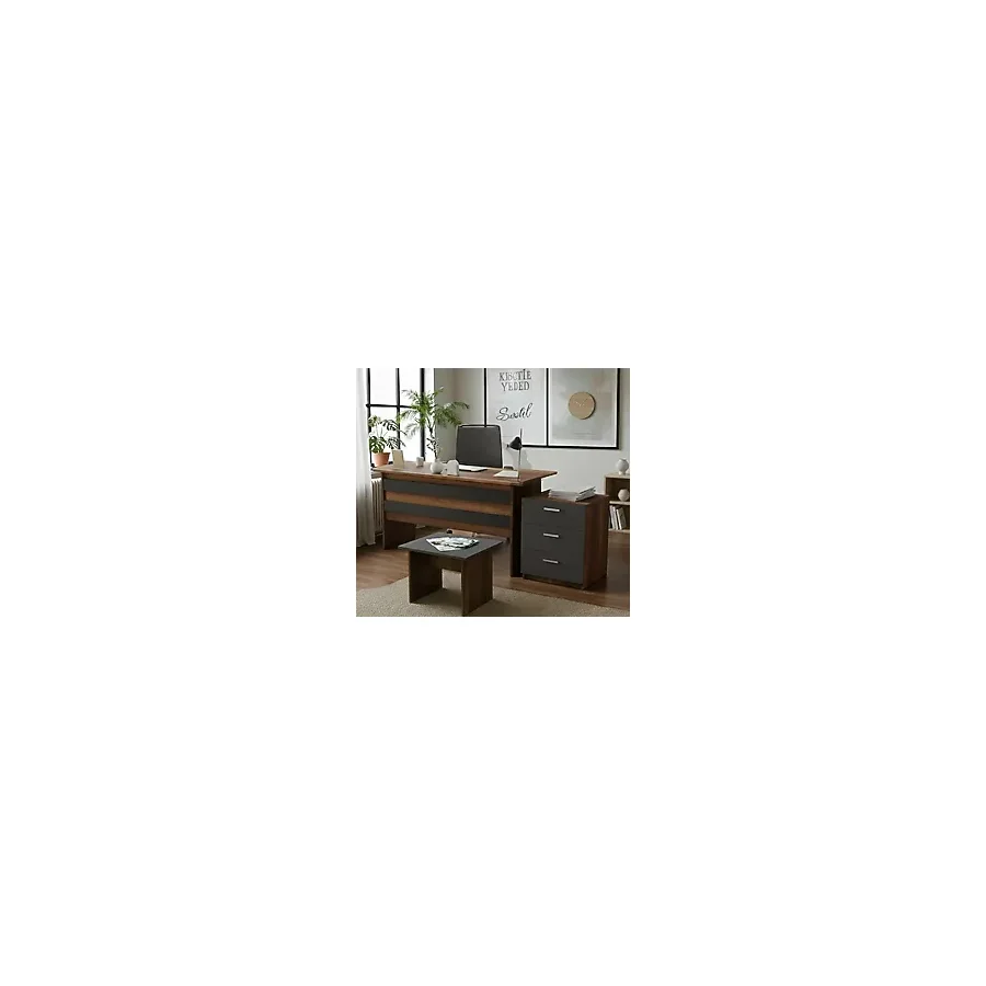 Robin Home Ofis Çalışma Masası Takımı Büro Masa Takımı Ofis Masası + Keson + Ofis Sehpası Kahverengi