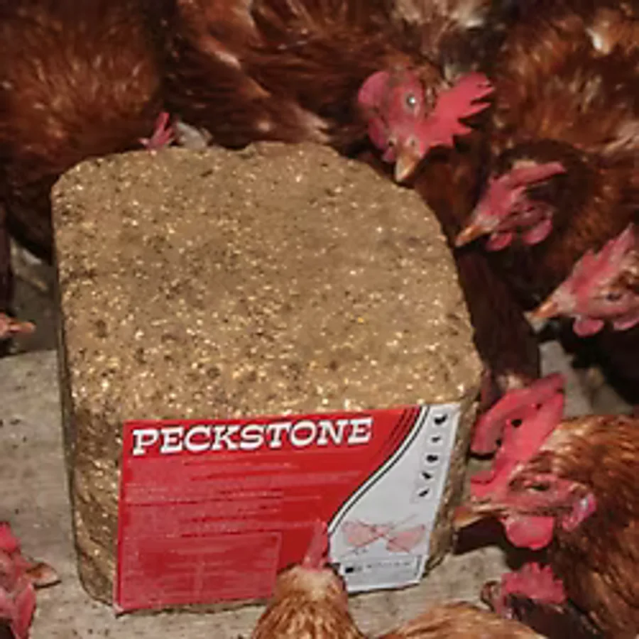 Royal Avian PeckStone Gagalama Mineral Taşı 10 Kg