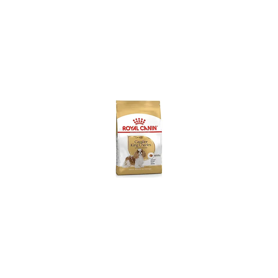 Royal Canin Cavalier King Charles 3 kg Yetişkin Köpek Maması