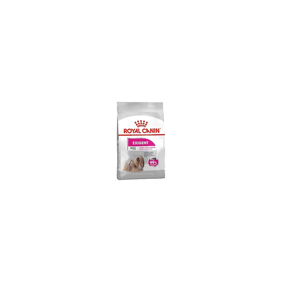 Royal Canin Ccn Mini Exigent Küçük Irk 3 kg Yetişkin Kuru Köpek Maması