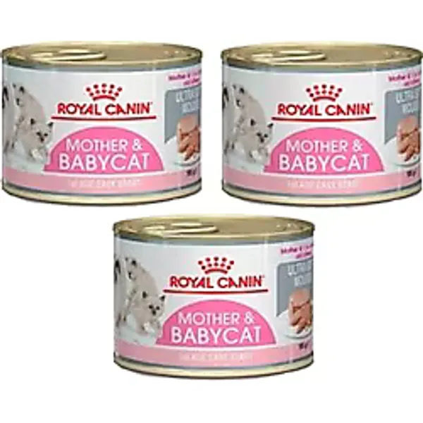 Royal Canin Mother & Babycat 195 gr 3'lü Yavru Konserve Kedi Maması