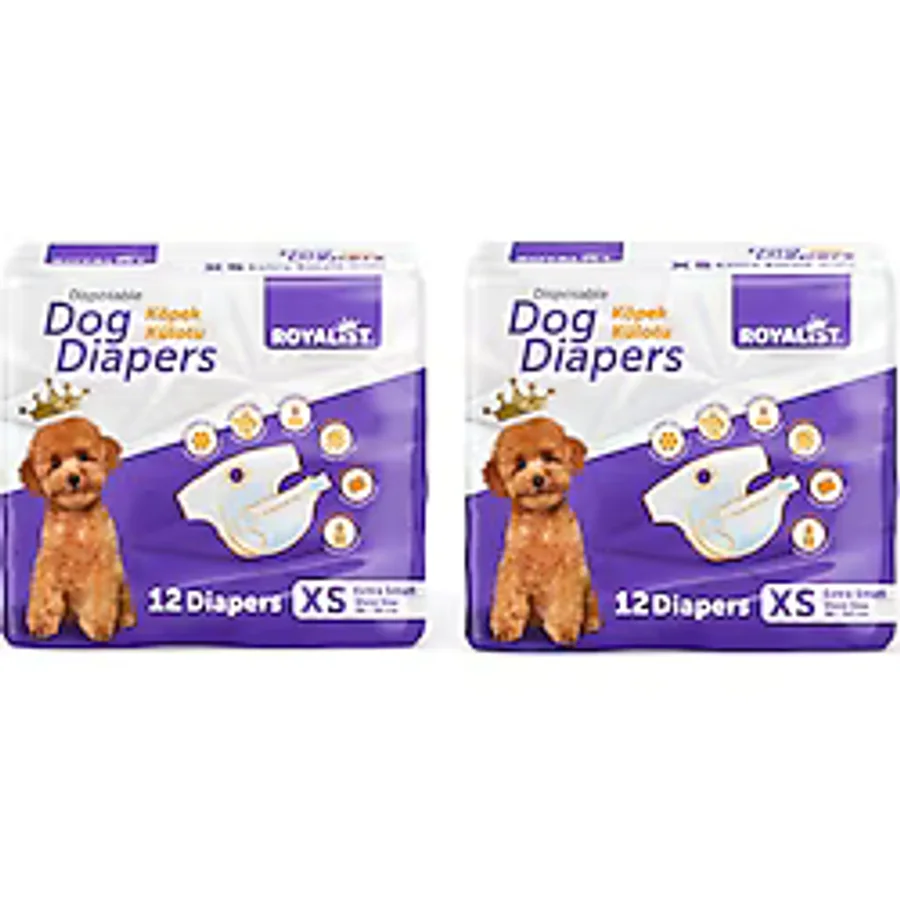 Royalist Köpek Külodu Xsmall 2X12 (24 Adet)