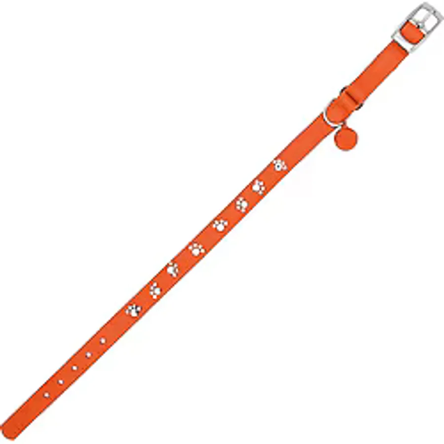 Royalist PC-11 Pati Baskılı Kedi-Köpek Tasması 10mmx30cm Turuncu