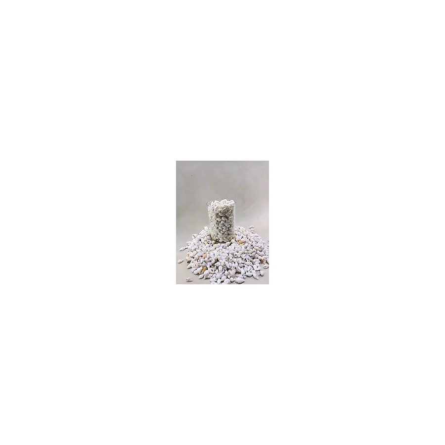 Royall Craft 100 gr Natural Minik Deniz Kabuğu - Karışık Nassa Shell Dekor, Hobi, Teraryum, Akvaryum