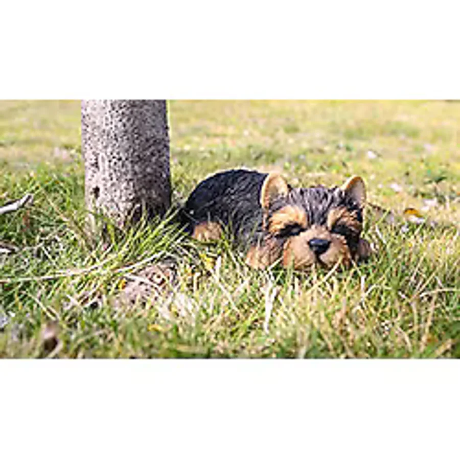 RUNADI Hi- Line Gift 87710-M Yorkshire Terrier Köpek Uyuyan Evcil Hayvan Dostları Heykeli, Siyah
