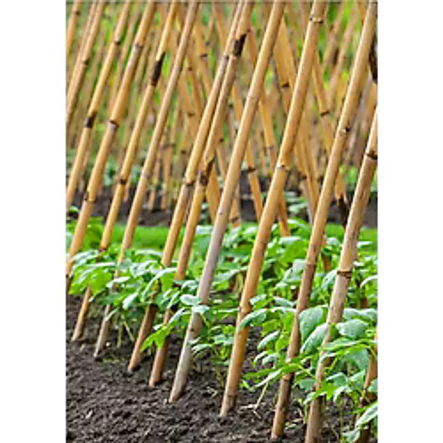 RVN Stone Works Çubuk Bitki Destek Çubuğu 9 Adet 150 Cm