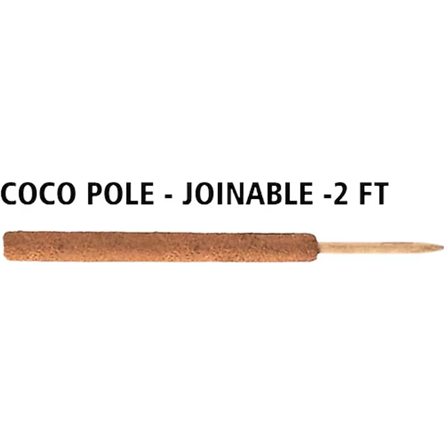 Saksı Mix Coco Pole 60x6 cm Hindistan Cevizi Direği Geçirilebilir Bitki Tırmanma Direği Bitki Destek Çubuğu