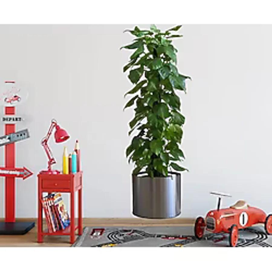 Saksılı Bitki Tasarımlı Yapışkanlı Sticker Resim 90x30 Cm Mc-665