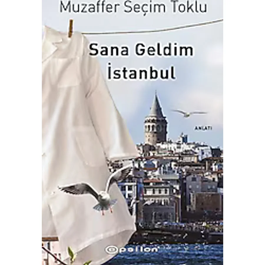 Sana Geldim İstanbul - Muzaffer Seçim Toklu