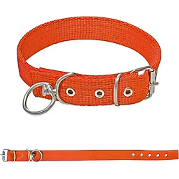 Savex Dokuma Köpek Boyun Tasması 2.5x50 cm
