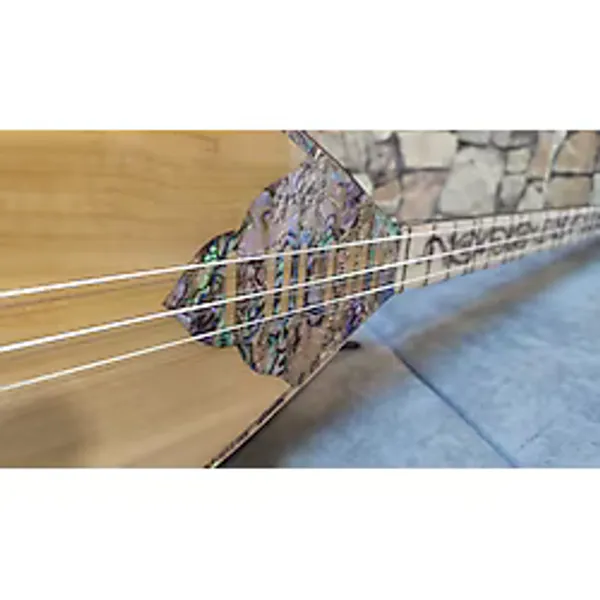 Saz Bağlama Saz Divan Saz Telli Çalgılar Müzik Aletleri