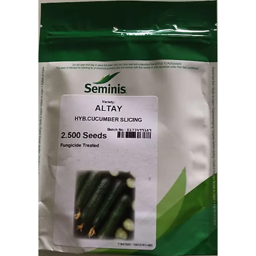 Seminis Hıyar Salatalık Tohumu Altay F1 2500 Adet Tohumluk